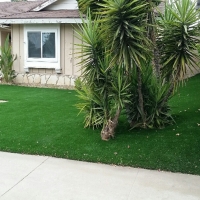 Synthetic Lawn Saint Cloud, Florida Lawn And Landscape, Front Yard Design