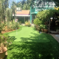 Synthetic Turf Carol City, Florida Gardeners