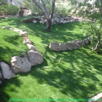 Synthetic Turf Supplier Coconut Grove, Florida Roof Top, Commercial Landscape