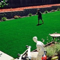 Synthetic Turf Supplier Lemon Grove, Florida Landscaping Business, Backyard