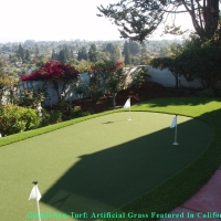 Synthetic Turf Supplier Miami Shores, Florida Artificial Putting Greens, Backyard Designs