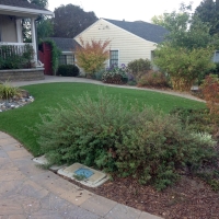 Synthetic Turf Supplier Sea Ranch Lakes, Florida Lawn And Garden, Front Yard Landscape Ideas