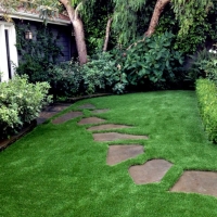 Turf Grass Princeton, Florida Lawn And Garden, Backyard Landscaping Ideas