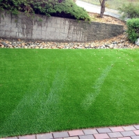 Turf Grass West Miami, Florida Pet Turf, Backyard Design