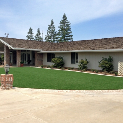 Artificial Grass Carpet Glen Ridge, Florida Paver Patio, Front Yard Design