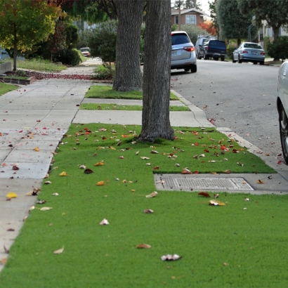 Artificial Grass Carpet Hamptons at Boca Raton, Florida Landscaping Business, Small Front Yard Landscaping