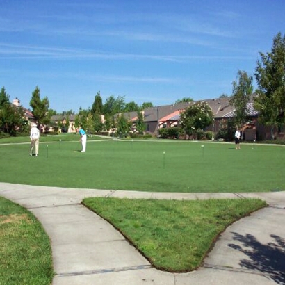 Artificial Grass Carpet Indian Harbour Beach, Florida Putting Green Flags, Commercial Landscape