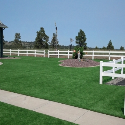 Artificial Grass Carpet Winter Beach, Florida Backyard Deck Ideas, Backyard Design