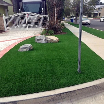 Artificial Grass Fort Myers Beach, Florida Roof Top, Front Yard Ideas