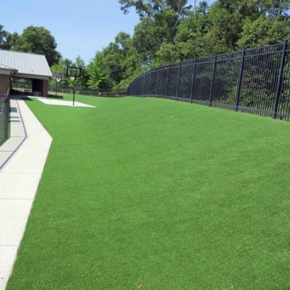 Artificial Lawn Golden Lakes, Florida Backyard Playground, Commercial Landscape