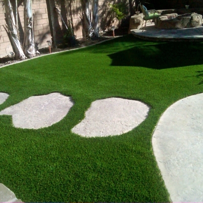 Artificial Lawn Kings Point, Florida Design Ideas, Backyards