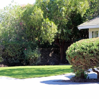 Artificial Lawn Sunrise, Florida Rooftop, Front Yard Design