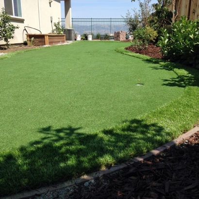 Artificial Turf Cost Delray Beach, Florida Gardeners, Backyard Makeover