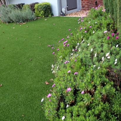 Artificial Turf Cost Golfview, Florida Gardeners, Front Yard Landscape Ideas