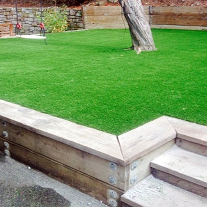 Artificial Turf Cost Vamo, Florida Landscape Rock, Small Backyard Ideas