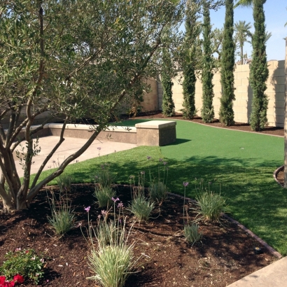 Artificial Turf Deerfield Beach, Florida Landscape Photos, Backyard Landscaping Ideas