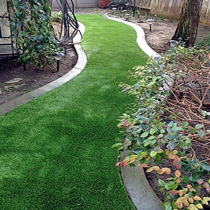 Artificial Turf Hutchinson Island South, Florida Roof Top, Small Backyard Ideas