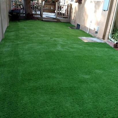 Artificial Turf Terra Mar, Florida Design Ideas, Backyard Landscaping Ideas