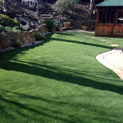 Best Artificial Grass Jensen Beach, Florida Lawn And Landscape, Backyard Garden Ideas