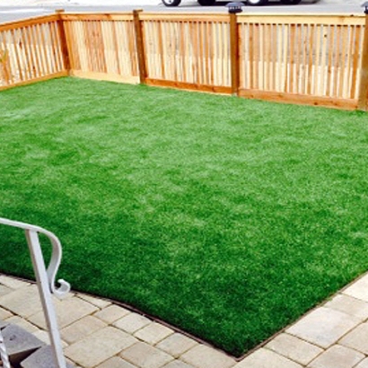 Best Artificial Grass June Park, Florida Landscape Design, Backyard Makeover