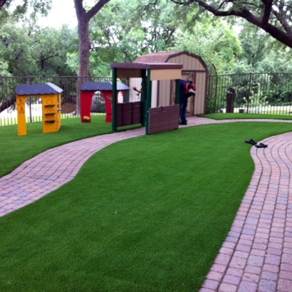 Best Artificial Grass Lazy Lake, Florida Design Ideas, Commercial Landscape