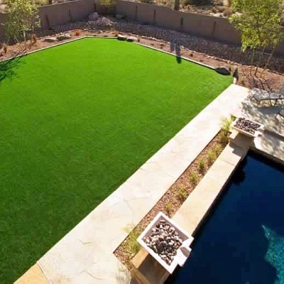 Fake Grass Carpet Carver Ranches, Florida Paver Patio, Backyard Landscaping Ideas