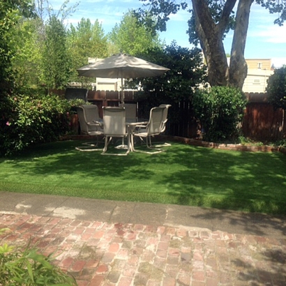 Fake Grass Carpet Country Club, Florida Backyard Playground, Backyard