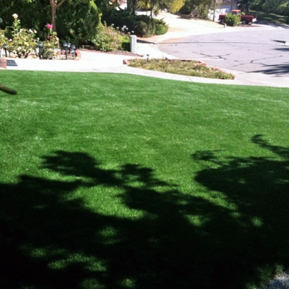 Fake Grass Carpet El Portal, Florida Gardeners, Front Yard Landscaping Ideas