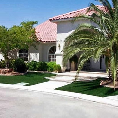 Fake Grass Carpet Lake Belvedere Estates, Florida Lawn And Landscape, Front Yard Landscaping Ideas