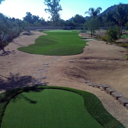 Fake Grass Carpet Lely, Florida Artificial Putting Greens, Backyard