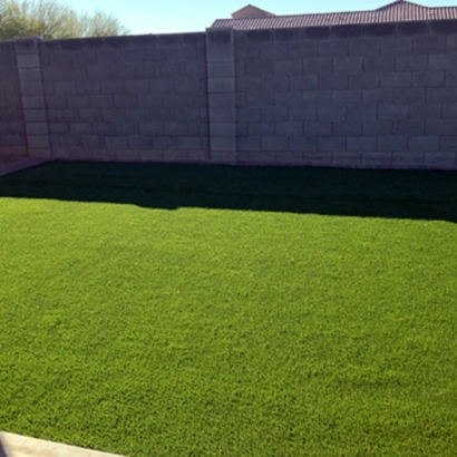 Fake Grass Carpet Royal Palm Estates, Florida Landscaping, Backyard Landscaping