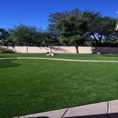 Fake Grass Carpet Whisper Walk, Florida Landscape Design, Front Yard Landscape Ideas