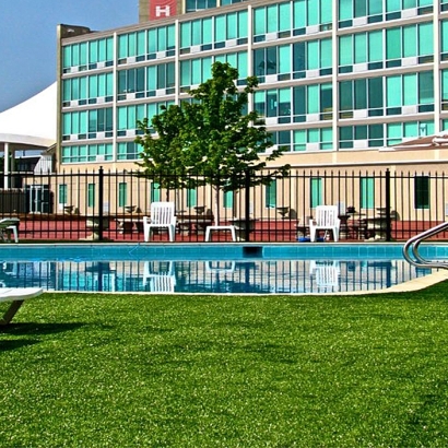 Fake Grass Clewiston, Florida Backyard Playground, Above Ground Swimming Pool