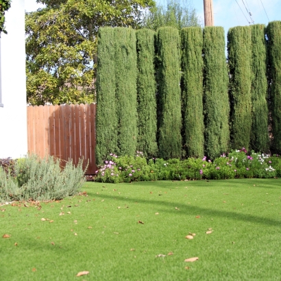 Fake Grass Cloud Lake, Florida Lawn And Garden, Front Yard Landscaping