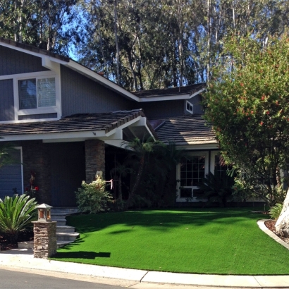 Fake Grass Palm Beach, Florida City Landscape, Front Yard Landscaping Ideas