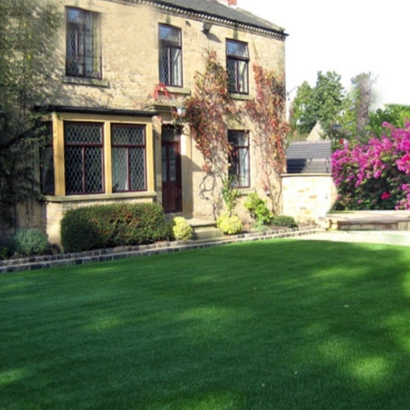 Fake Grass Washington Park, Florida Garden Ideas, Front Yard Design