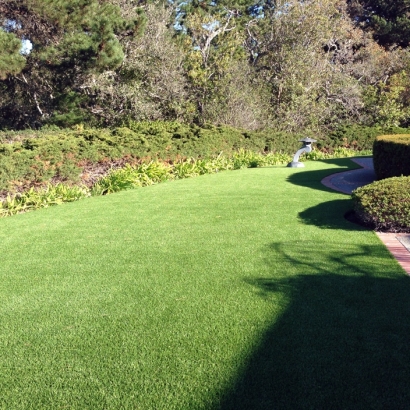 Fake Lawn Hobe Sound, Florida Landscaping Business, Small Front Yard Landscaping