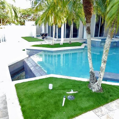 Fake Lawn Loxahatchee Groves, Florida Landscape Ideas, Backyard Landscaping