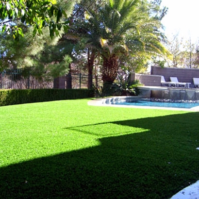 Fake Turf Lakes by the Bay, Florida Landscape Photos, Beautiful Backyards