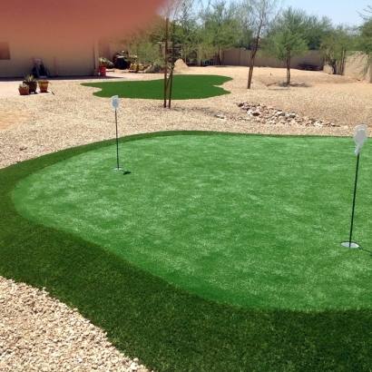 Fake Turf Loughman, Florida Indoor Putting Greens, Backyard Landscaping