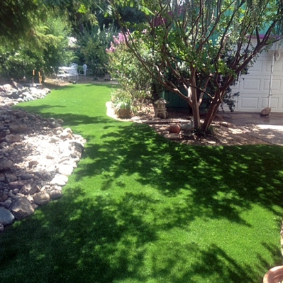 Fake Turf Olympia Heights, Florida Landscaping Business, Backyard Design