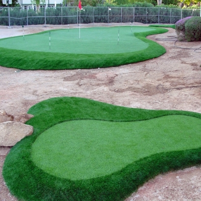 Fake Turf Vero Beach South, Florida Landscape Photos, Front Yard Landscape Ideas