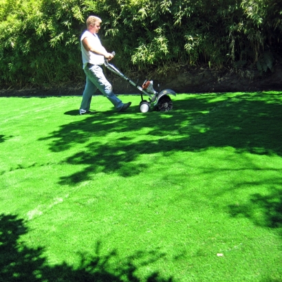 Faux Grass East Lake-Orient Park, Florida Design Ideas, Backyard Design