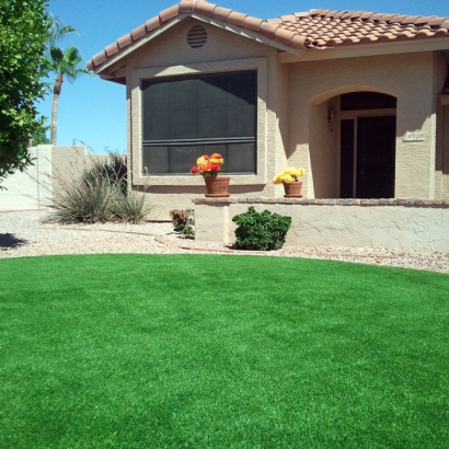 Faux Grass North Miami, Florida Landscaping, Front Yard Landscaping Ideas