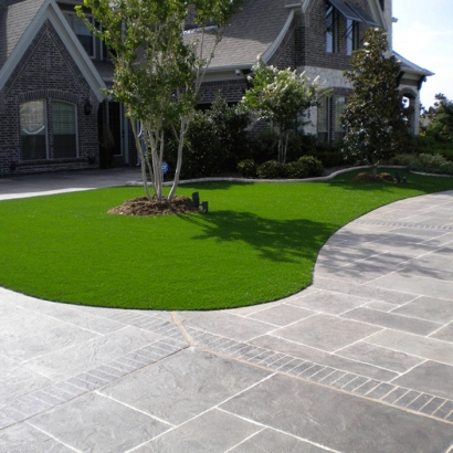 Faux Grass South Venice, Florida Rooftop, Front Yard Design