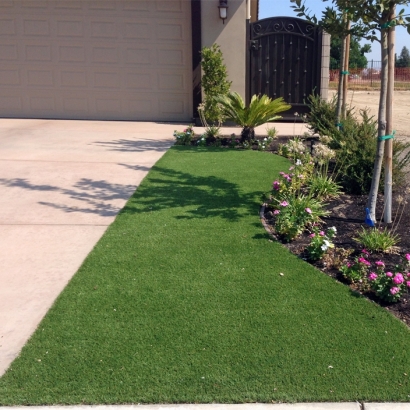 Faux Grass West Vero Corridor, Florida Lawn And Garden, Front Yard Landscape Ideas