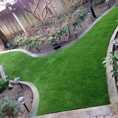 Grass Carpet Cypress Quarters, Florida Lawn And Garden, Backyard Landscaping Ideas