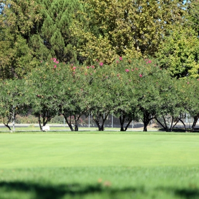 Grass Carpet Fuller Heights, Florida Putting Green