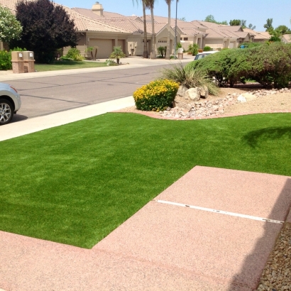 Grass Installation Apollo Beach, Florida Home And Garden, Front Yard Landscape Ideas