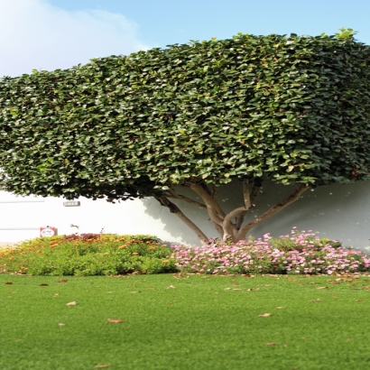 Grass Installation Belle Glade Camp, Florida Landscape Design, Front Yard